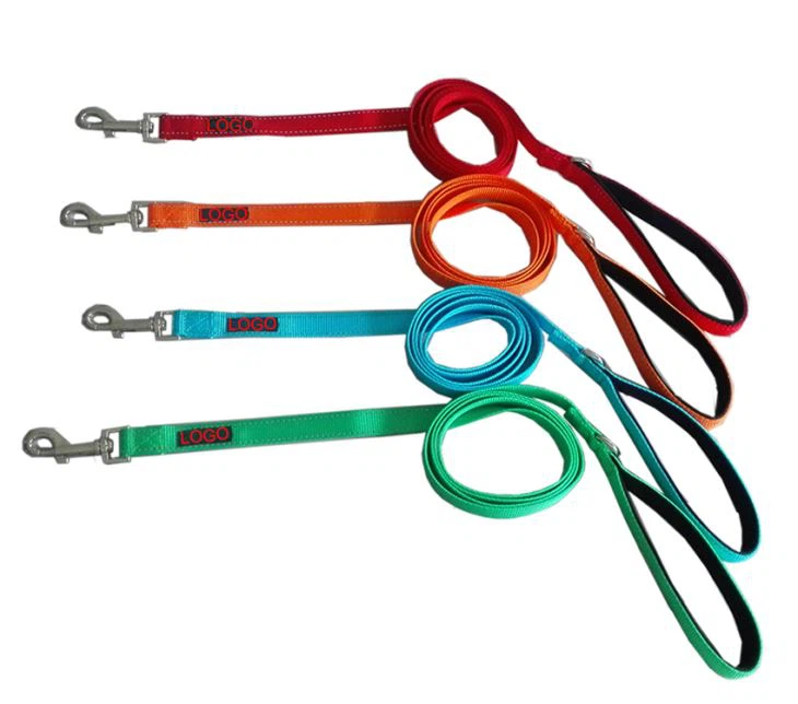 Pet Leash With Reflective Stitching