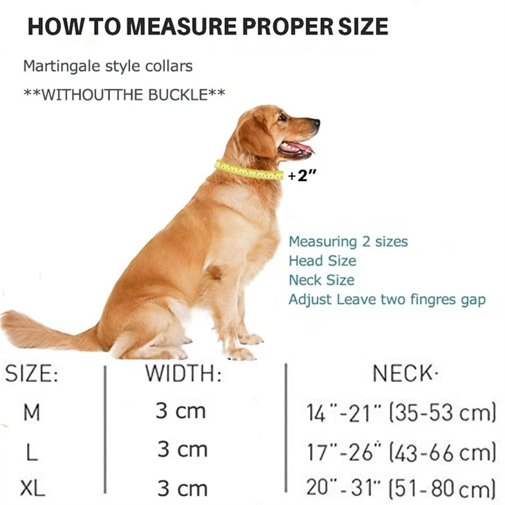 custom tactical dog collar