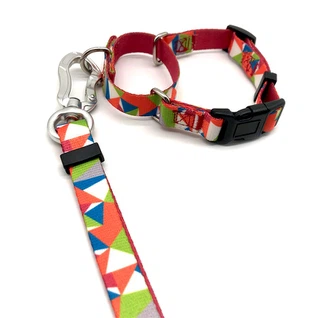 custom dog collar custom dog collar